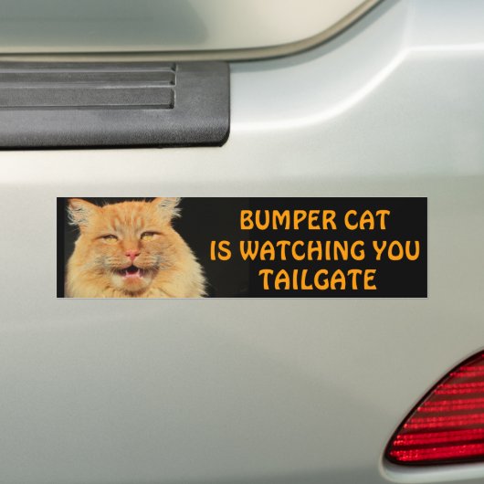 Bumper Cat kijkt naar je TAILGATE 13-thema Bumpersticker (Op auto)