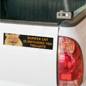 Bumper Cat kijkt naar je TAILGATE 13-thema Bumpersticker (Op Truck)
