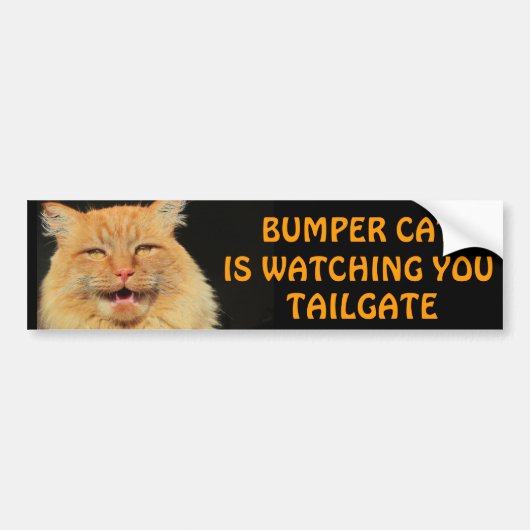 Bumper Cat kijkt naar je TAILGATE 13-thema Bumpersticker (Voorkant)