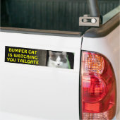 Bumper Cat kijkt naar je TAILGATE 4 Bumpersticker (Op Truck)