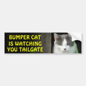 Bumper Cat kijkt naar je TAILGATE 4 Bumpersticker (Voorkant)