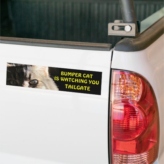 Bumper Cat kijkt naar je TAILGATE 5 Bumpersticker (Op Truck)