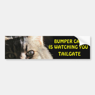Bumper Cat kijkt naar je TAILGATE 5 Bumpersticker