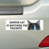 Bumper Cat kijkt naar Meme TAILGATE 28 Bumpersticker (Op auto)