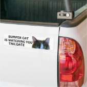 Bumper Cat kijkt naar Meme TAILGATE 28 Bumpersticker (Op Truck)