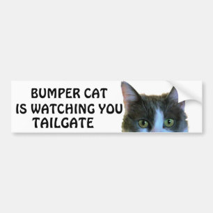 Bumper Cat kijkt naar Meme TAILGATE 28 Bumpersticker