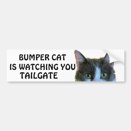 Bumper Cat kijkt naar Meme TAILGATE 28 Bumpersticker (Voorkant)