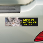 Bumper Cat kijkt naar TAILGATE 12 Bumpersticker (Op auto)