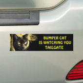 Bumper Cat kijkt naar TAILGATE 16 Bumpersticker (Op auto)