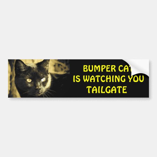 Bumper Cat kijkt naar TAILGATE 16 Bumpersticker (Voorkant)