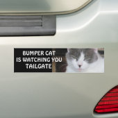 Bumper Cat kijkt naar TAILGATE 18 Bumpersticker (Op auto)
