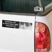 Bumper Cat kijkt naar TAILGATE 18 Bumpersticker (Op Truck)