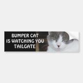Bumper Cat kijkt naar TAILGATE 18 Bumpersticker (Voorkant)
