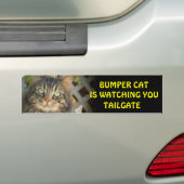 Bumper Cat kijkt naar TAILGATE 20 Bumpersticker (Op auto)