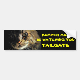 Bumper Cat kijkt naar TAILGATE 23 Bumpersticker