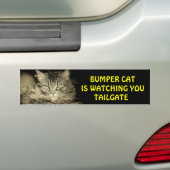Bumper Cat kijkt naar TAILGATE 24 Bumpersticker (Op auto)