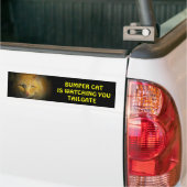 Bumper Cat kijkt naar TAILGATE 25 Bumpersticker (Op Truck)