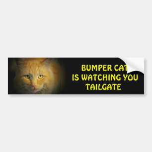 Bumper Cat kijkt naar TAILGATE 25 Bumpersticker