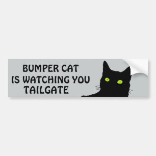 Bumper Cat kijkt naar TAILGATE 29 Bumpersticker