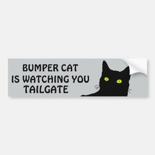 Bumper Cat kijkt naar TAILGATE 29 Bumpersticker (Voorkant)