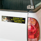 Bumper Cat kijkt naar TAILGATE 2.5 Bumpersticker (Op Truck)