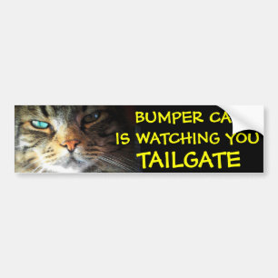 Bumper Cat kijkt naar TAILGATE 2 (nieuw lettertype Bumpersticker
