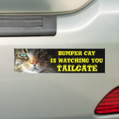Bumper Cat kijkt naar TAILGATE 2 (oogballettertype Bumpersticker (Op auto)