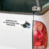 Bumper Cat kijkt naar TAILGATE 30 Bumpersticker (Op Truck)