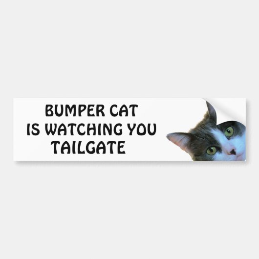 Bumper Cat kijkt naar TAILGATE 30 Bumpersticker (Voorkant)