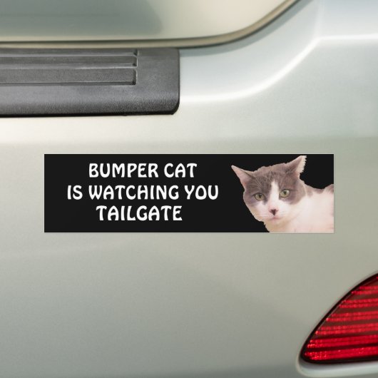 Bumper Cat kijkt naar TAILGATE 33 Bumpersticker (Op auto)
