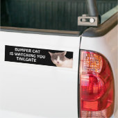 Bumper Cat kijkt naar TAILGATE 33 Bumpersticker (Op Truck)