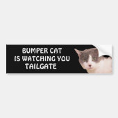 Bumper Cat kijkt naar TAILGATE 33 Bumpersticker (Voorkant)