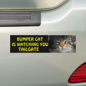 Bumper Cat kijkt naar TAILGATE 34 Bumpersticker (Op auto)