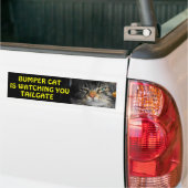 Bumper Cat kijkt naar TAILGATE 34 Bumpersticker (Op Truck)