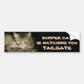 Bumper Cat kijkt naar TAILGATE 34 Grijze schaduwen Bumpersticker (Voorkant)