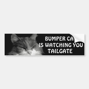 Bumper Cat kijkt naar TAILGATE 36 Meme Bumpersticker