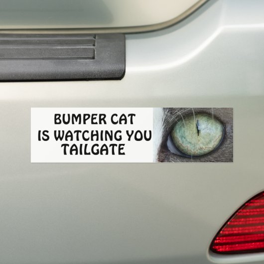 Bumper Cat kijkt naar TAILGATE 38 Bumpersticker (Op auto)
