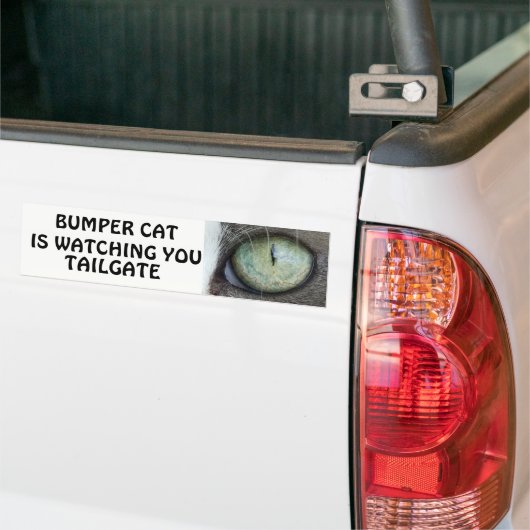 Bumper Cat kijkt naar TAILGATE 38 Bumpersticker (Op Truck)