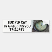 Bumper Cat kijkt naar TAILGATE 38 Bumpersticker (Voorkant)
