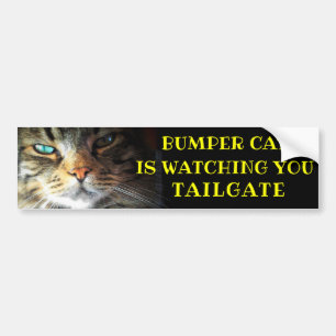 Bumper Cat kijkt naar TAILGATE 41 Meme Bumpersticker