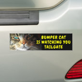 Bumper Cat kijkt naar TAILGATE 42 Chewy Font Bumpersticker (Op auto)