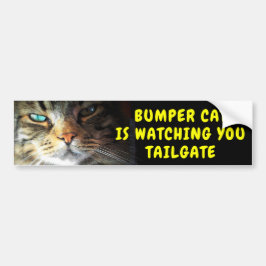 Bumper Cat kijkt naar TAILGATE 42 Chewy Font Bumpersticker