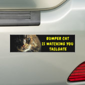 Bumper Cat kijkt naar TAILGATE 43 Bumpersticker (Op auto)