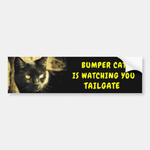 Bumper Cat kijkt naar TAILGATE 44 Bumpersticker