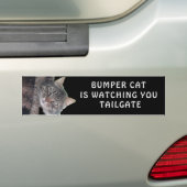 Bumper Cat kijkt naar TAILGATE 45 Bumpersticker (Op auto)