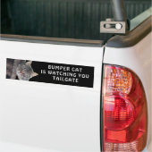 Bumper Cat kijkt naar TAILGATE 45 Bumpersticker (Op Truck)