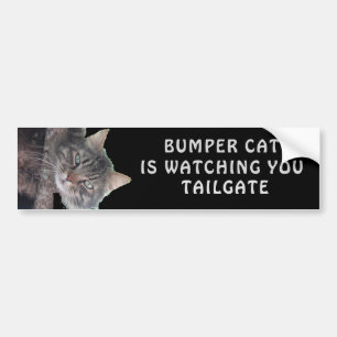 Bumper Cat kijkt naar TAILGATE 45 Bumpersticker