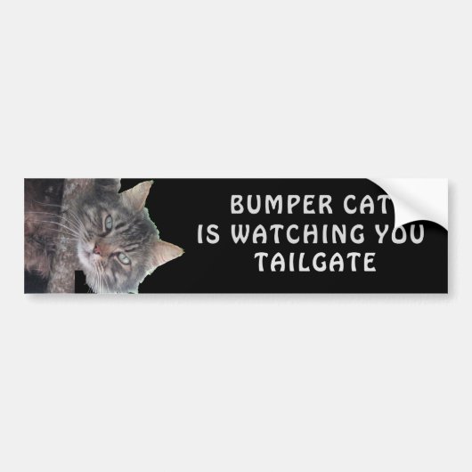 Bumper Cat kijkt naar TAILGATE 45 Bumpersticker (Voorkant)