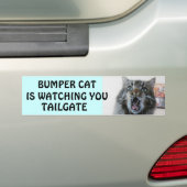 Bumper Cat kijkt naar TAILGATE 7 Bumpersticker (Op auto)