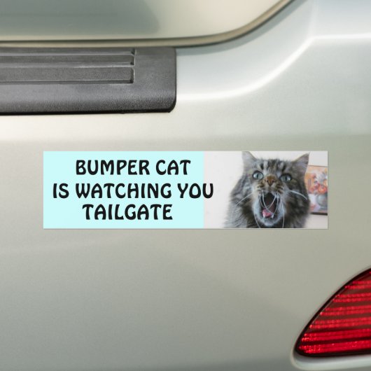 Bumper Cat kijkt naar TAILGATE 7 Bumpersticker (Op auto)